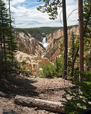 Yellowstone Canyon Scene
