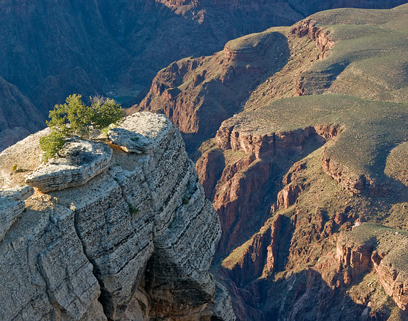 South Rim View; Grand Canyon National Park, Arizona