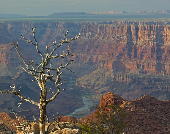 Near the Eastern Entrance; Grand Canyon National Park, Arizona