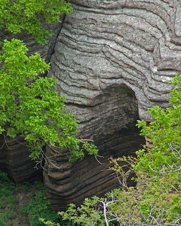 Walnut Canyon Scene