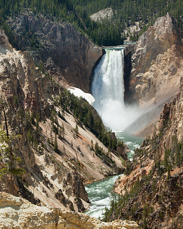 Yellowstone Falls