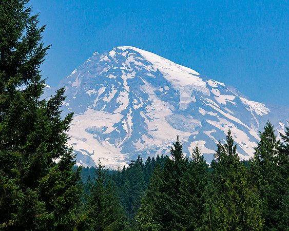 Mount Rainier View