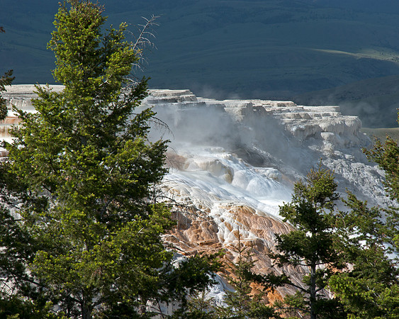 Mammoth Hot Springs View